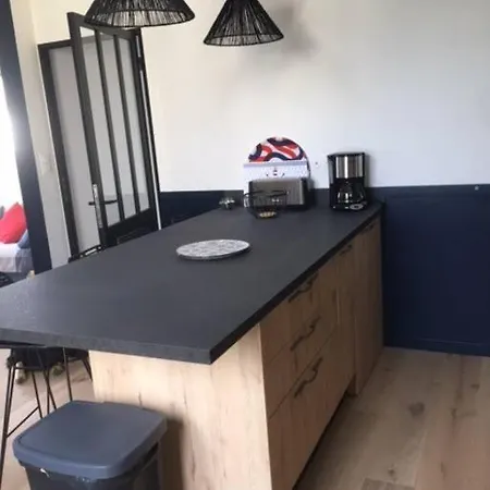 3p 70m2, Vue Mer, Et Port De Lomener アパート